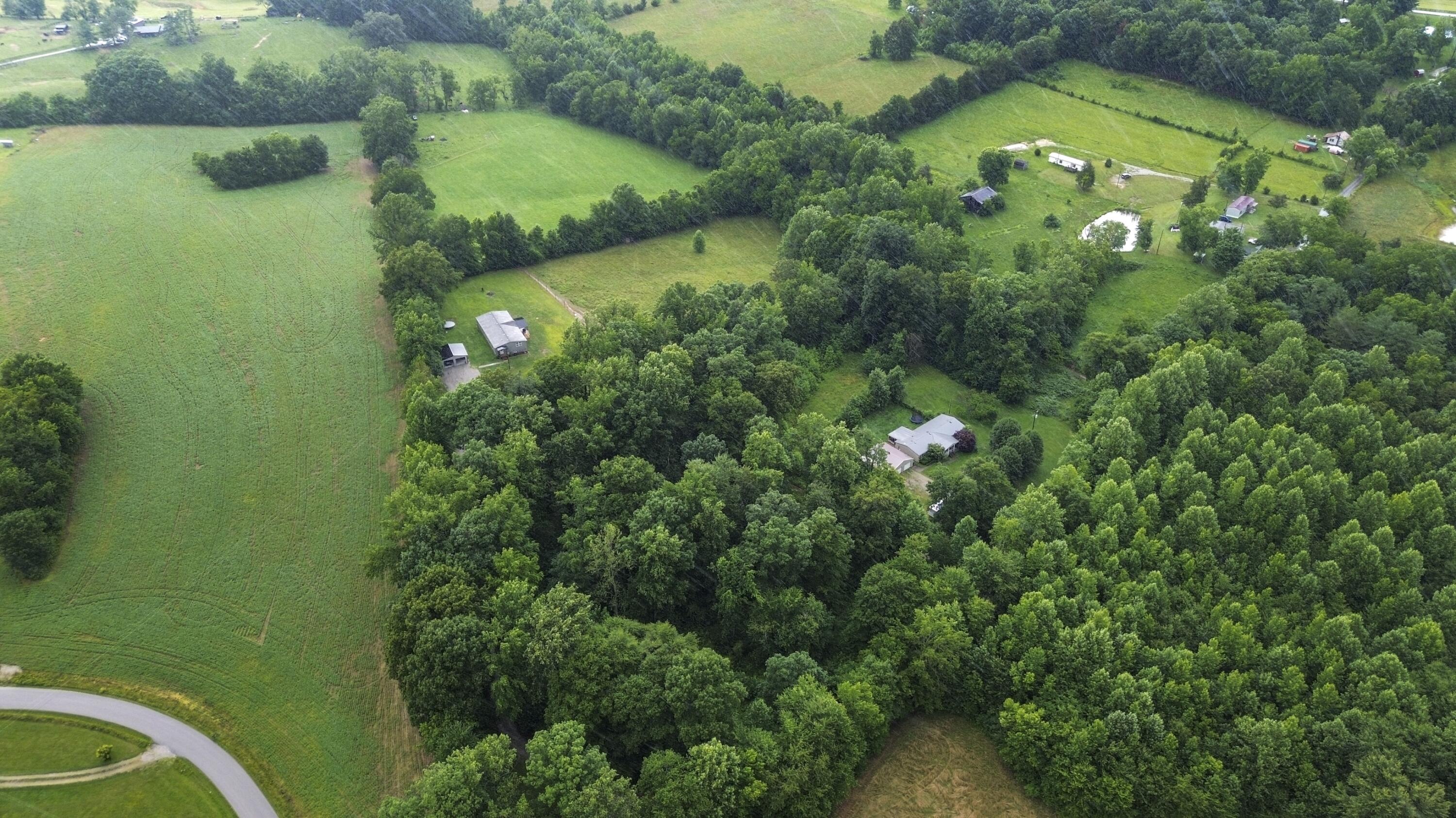 350 Rook Hollow Road Eubank, KY 42567 - Photo 36 of 50 DJI_0081