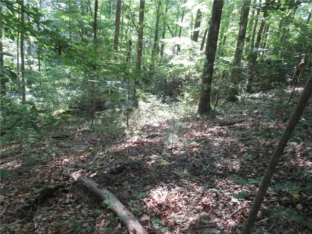 $25,000 | 0 Gauley Falls Road, Pickens, SC 29671