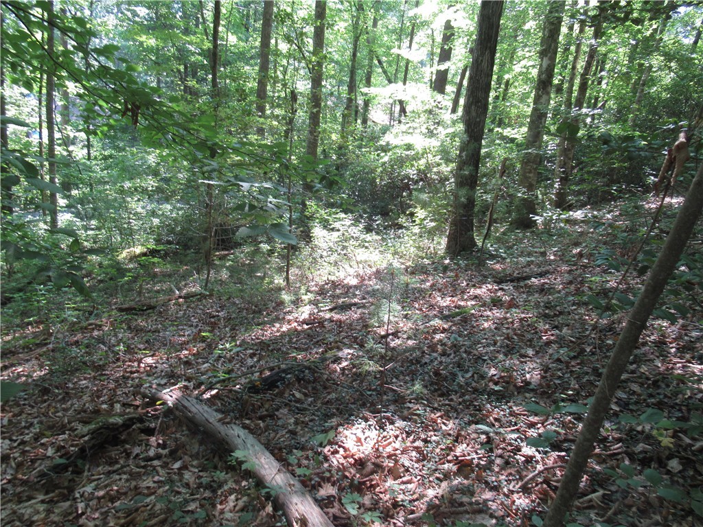 0 Gauley Falls Road Pickens, SC 29671 - Photo 13 of 35