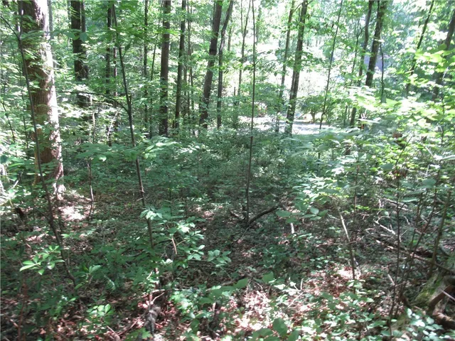 $25,000 | 0 Gauley Falls Road, Pickens, SC 29671