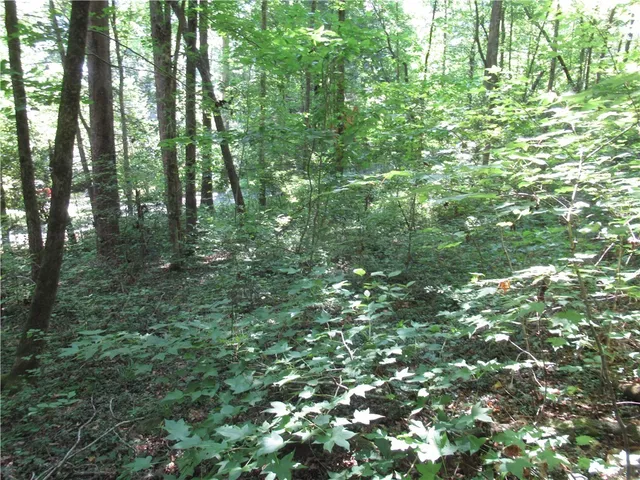 $25,000 | 0 Gauley Falls Road, Pickens, SC 29671