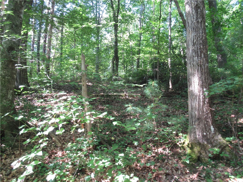 0 Gauley Falls Road Pickens, SC 29671 - Photo 19 of 35