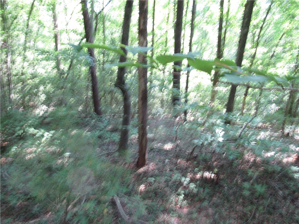 0 Gauley Falls Road Pickens, SC 29671 - Photo 3 of 35