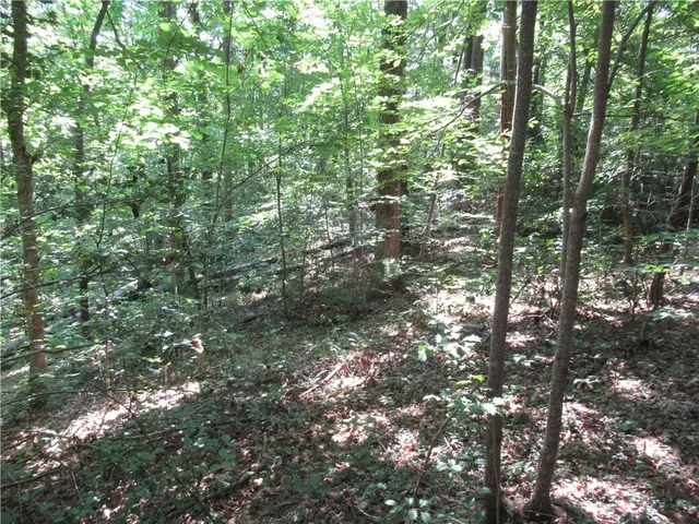 $25,000 | 0 Gauley Falls Road, Pickens, SC 29671