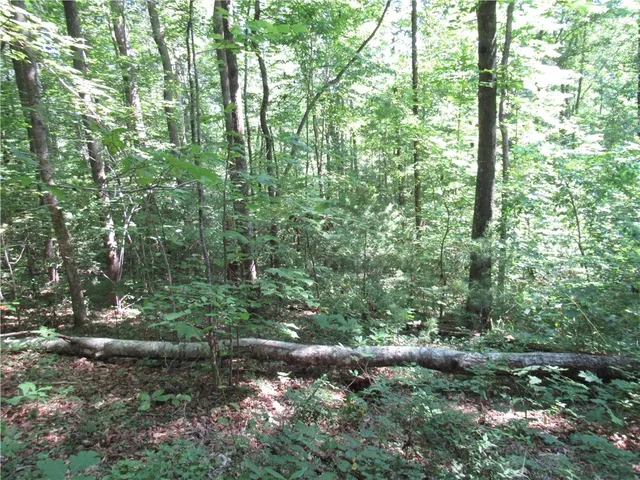 $25,000 | 0 Gauley Falls Road, Pickens, SC 29671