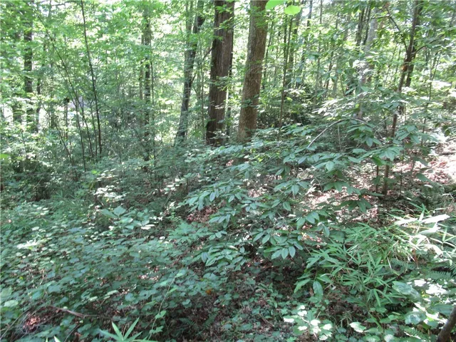 $25,000 | 0 Gauley Falls Road, Pickens, SC 29671