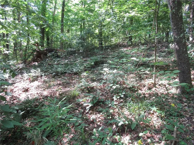 $25,000 | 0 Gauley Falls Road, Pickens, SC 29671