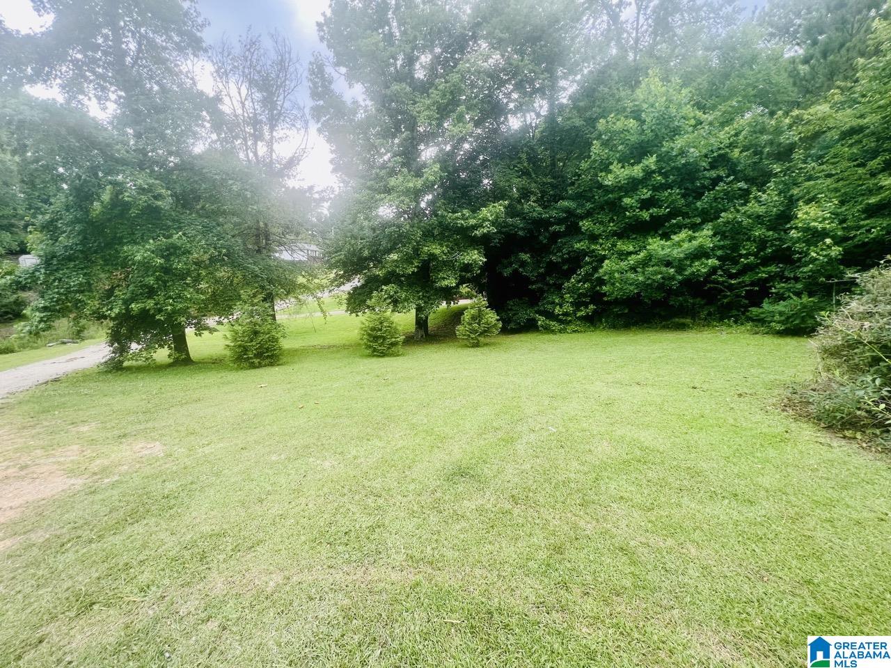 311 Hilltop Road Weaver, AL 36277 - Photo 3 of 36