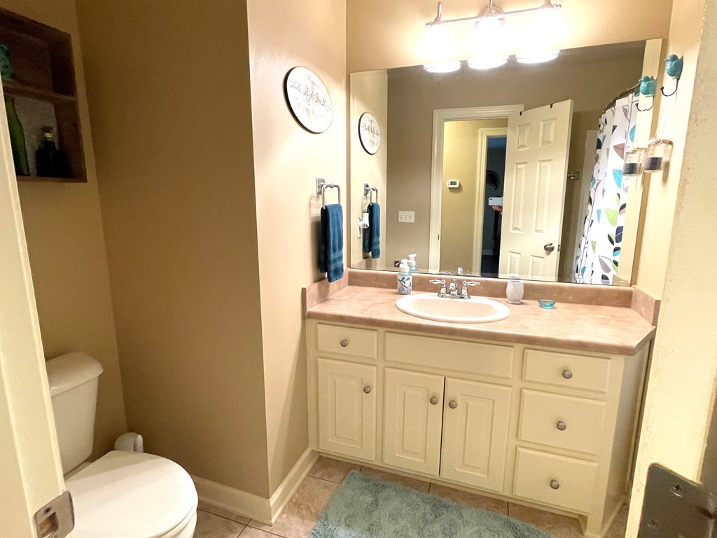 337 Stone Ridge Ashford, AL 36312 - Photo 19 of 28 Hall bath