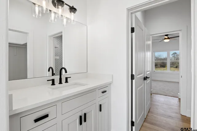 a bathroom with a sink and a mirror