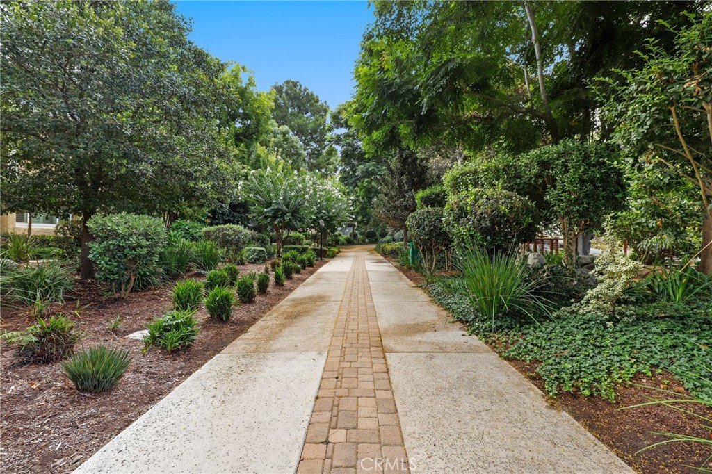 162 Pineview Irvine, CA 92620 - Photo 28 of 35 a view of flowing water with large trees