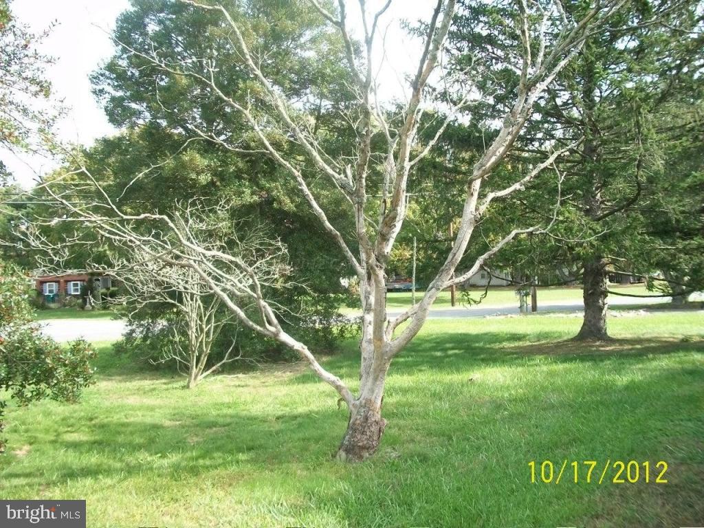 2906 Merritt Mill Road Salisbury, MD 21804 - Photo 4 of 12 Gallery Image 4