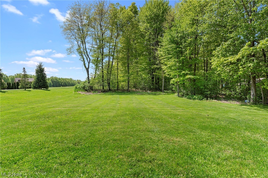 3840 Smith-Stewart Road Vienna, OH 44473 - Photo 12 of 35 Amazing back yard