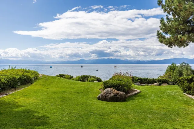 a view of a lush green space