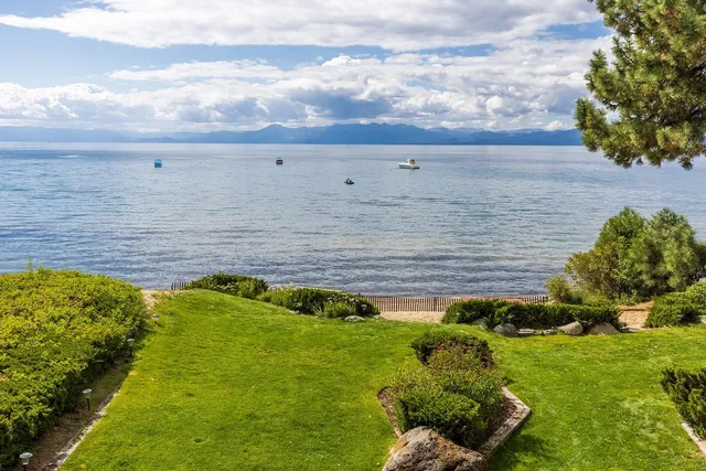 a view of a garden with an outdoor space