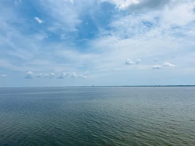 a view of a field with a trees in the background
