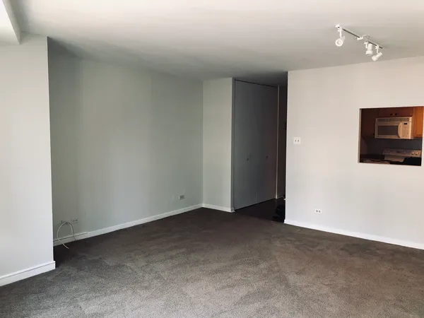 $227,999 | 211 East Ohio Street, Unit 1102, Chicago, IL 60611