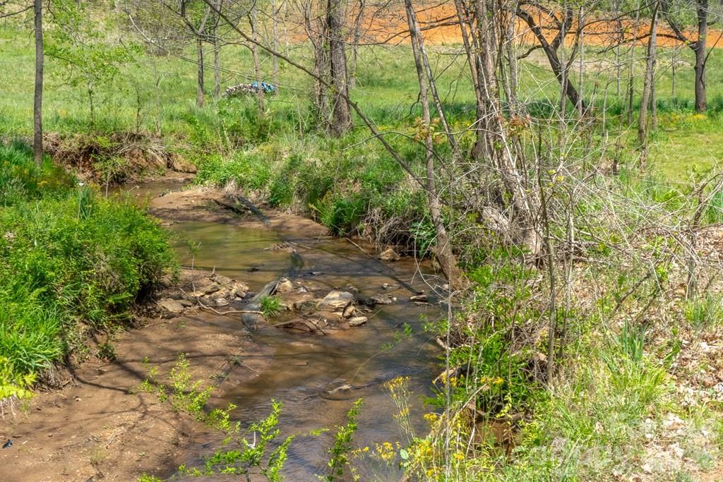 71 Bullfrog Cove Road Sylva, NC 28779 - Photo 4 of 42