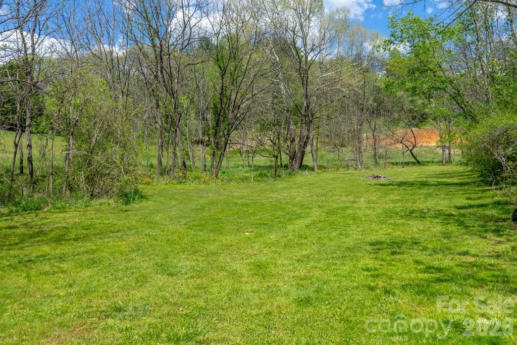 71 Bullfrog Cove Road Sylva, NC 28779 - Photo 41 of 42