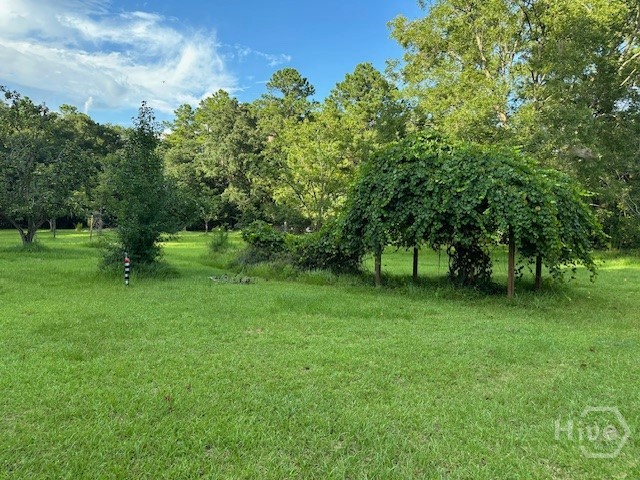 782 Deerfield Road East Bloomingdale, GA 31302 - Photo 25 of 26