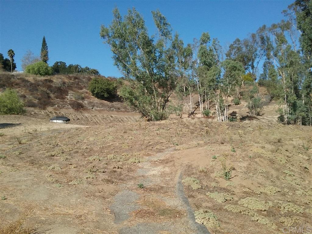 2707 South Mission Road Fallbrook, CA 92028 - Photo 8 of 9