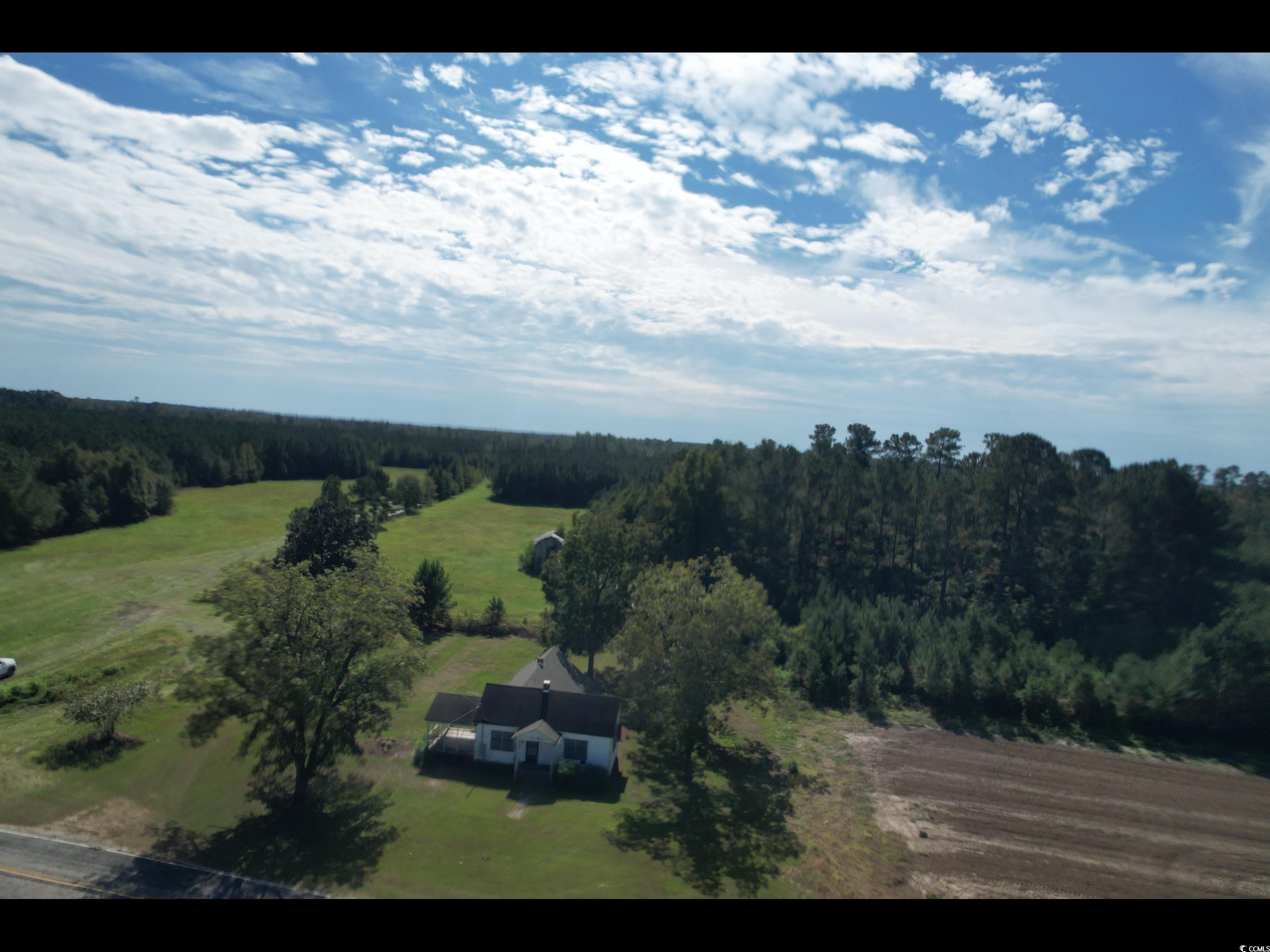 381 Retired Avenue Marion, SC 29571 - Photo 4 of 9 Overview of rural landscape