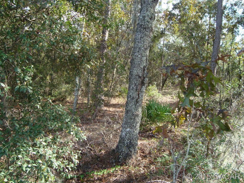 0 Northeast Ne Highway Bronson, FL 32621 - Photo 1 of 1