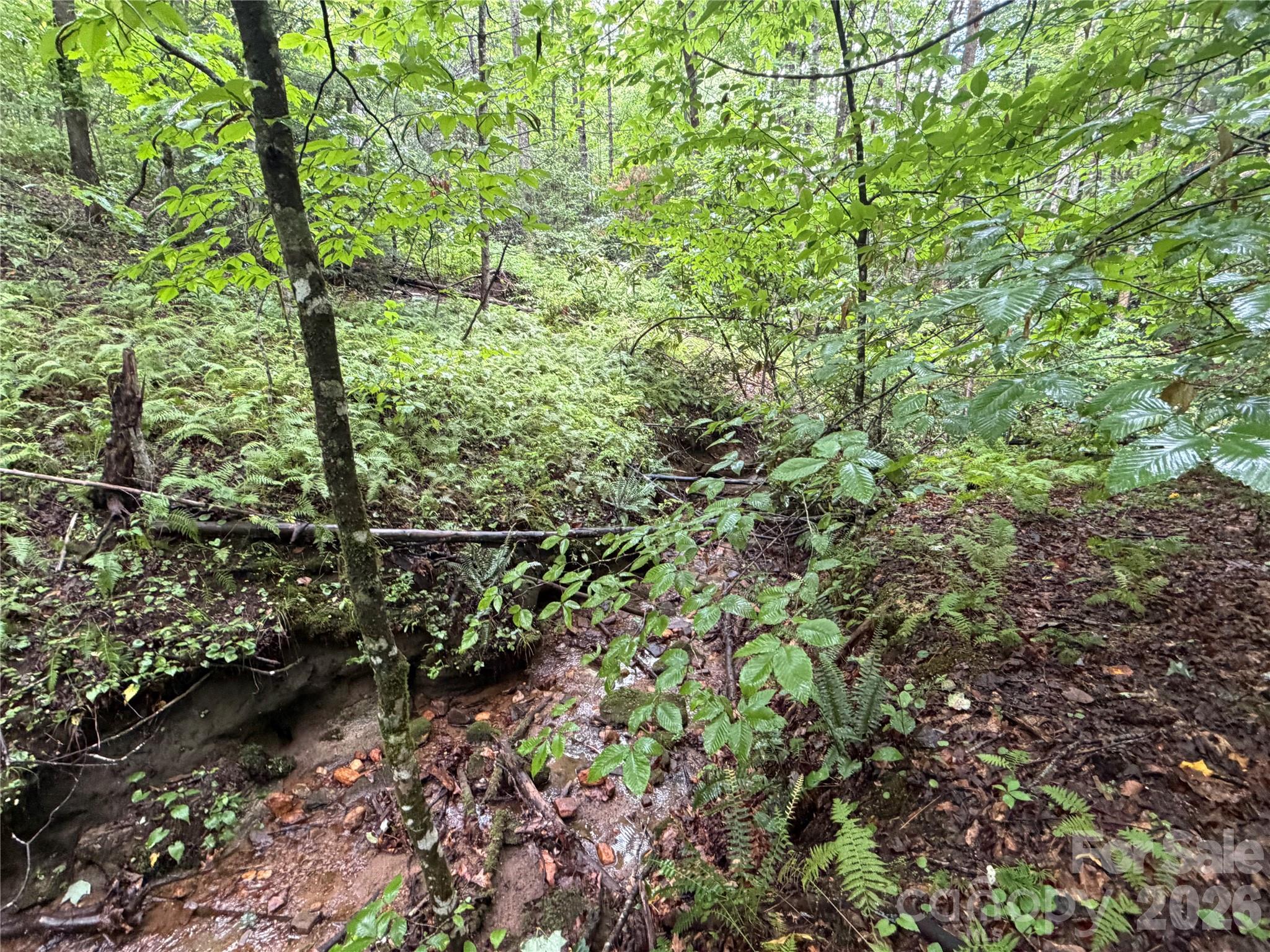 Off Donald McCall Road Balsam Grove, NC 28708 - Photo 42 of 47 Gallery Image 42
