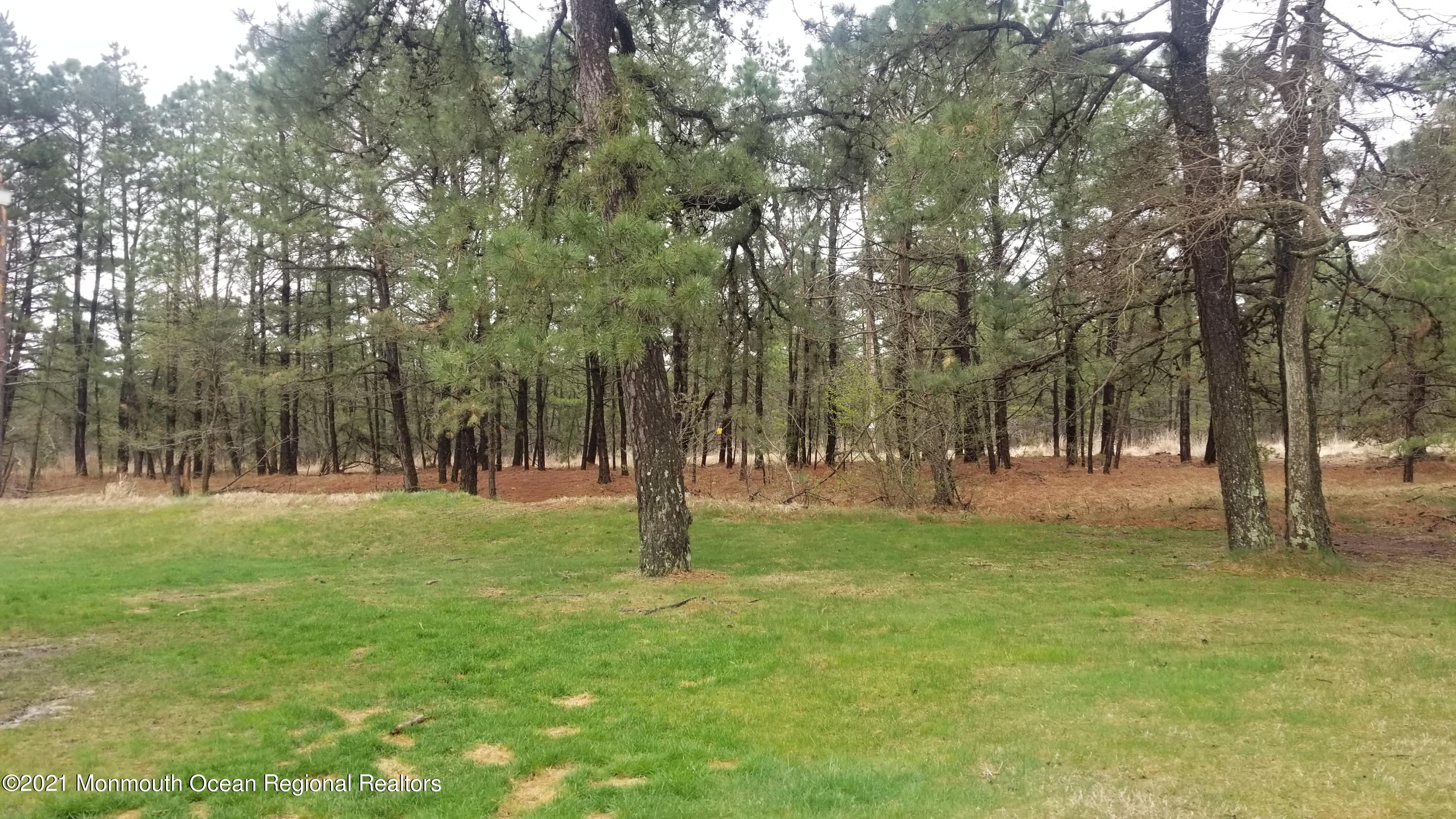 47 Ashley Road Whiting, NJ 08759 - Photo 33 of 33 20210412_110221