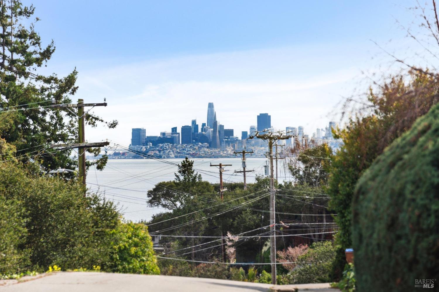 144 Richardson Drive Mill Valley, CA 94941 - Photo 39 of 43 a view of a city