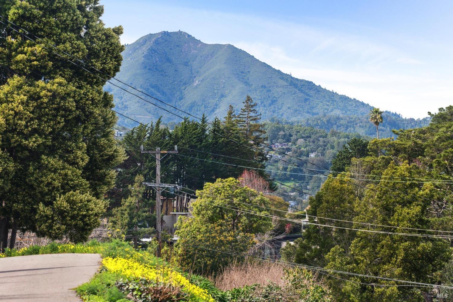 144 Richardson Drive Mill Valley, CA 94941 - Photo 40 of 43 a view of a house with a yard