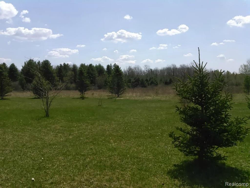 7428 Kilburn Road Jeddo, MI 48032 - Photo 11 of 35