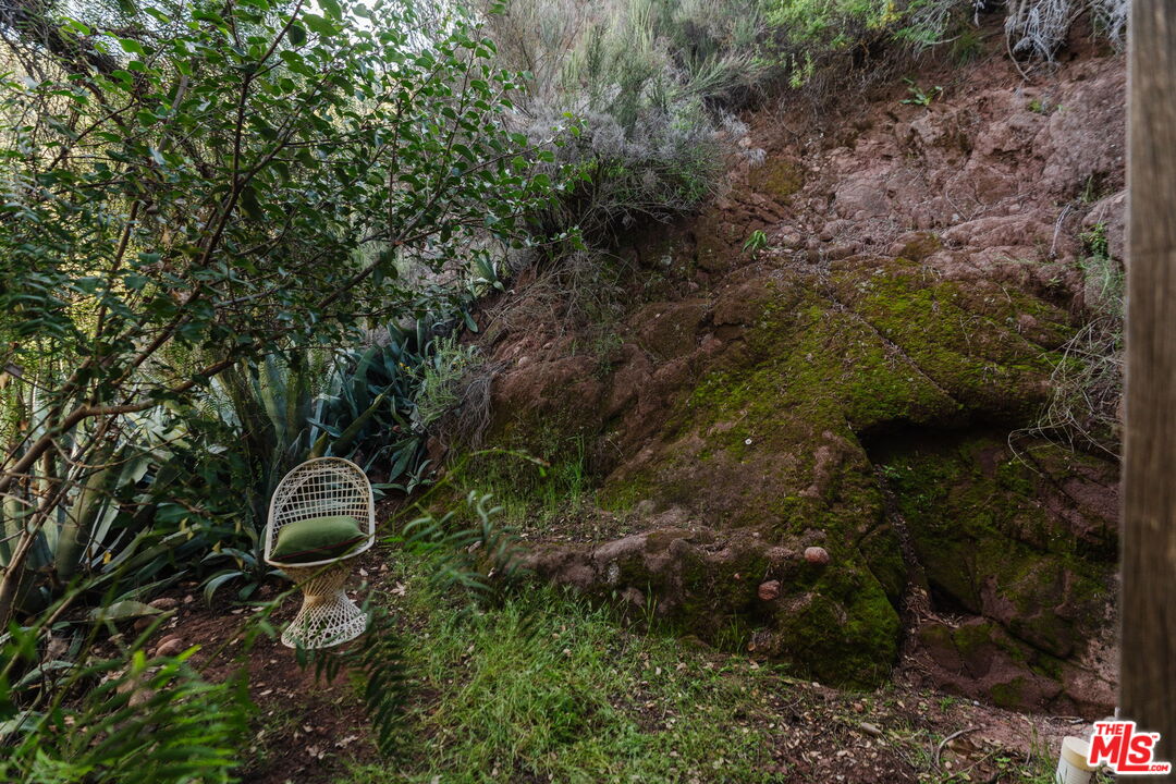 23300 Red Rock Road Topanga, CA 90290 - Photo 47 of 59 a backyard of a house with lots of green space and plants