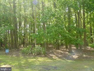 0 Whaleysville Road Whaleyville, MD 21872 - Photo 1 of 1