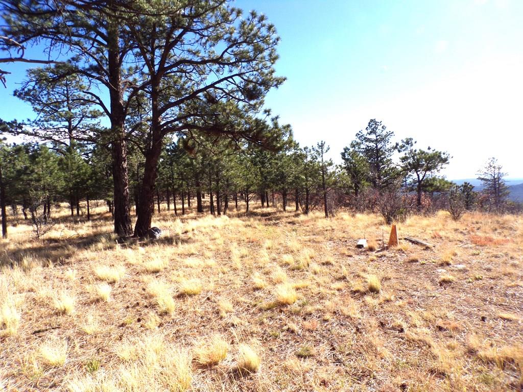 12231 Council Road Weston, CO 81091 - Photo 57 of 59 Gallery Image 57