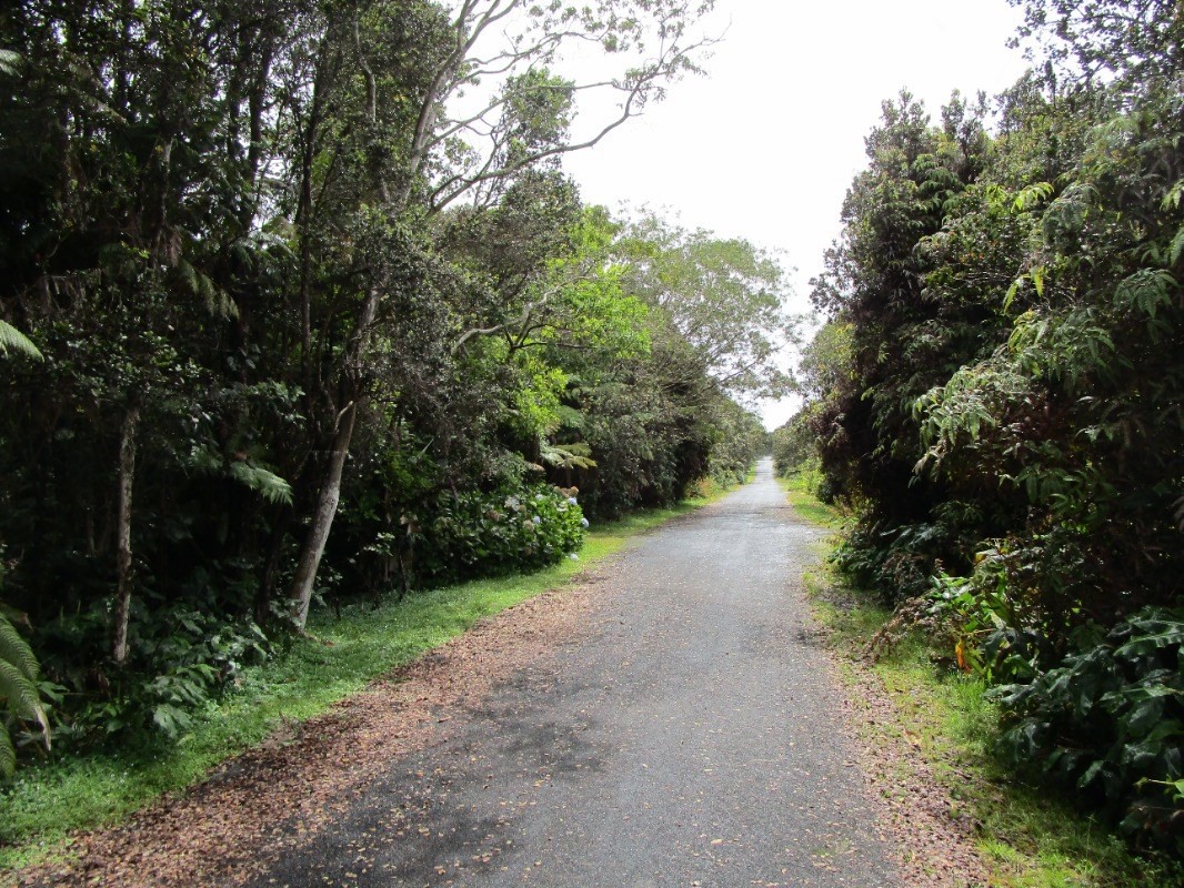 137 Kalaninauli Road Volcano, HI 96785 - Photo 3 of 3 Gallery Image 3