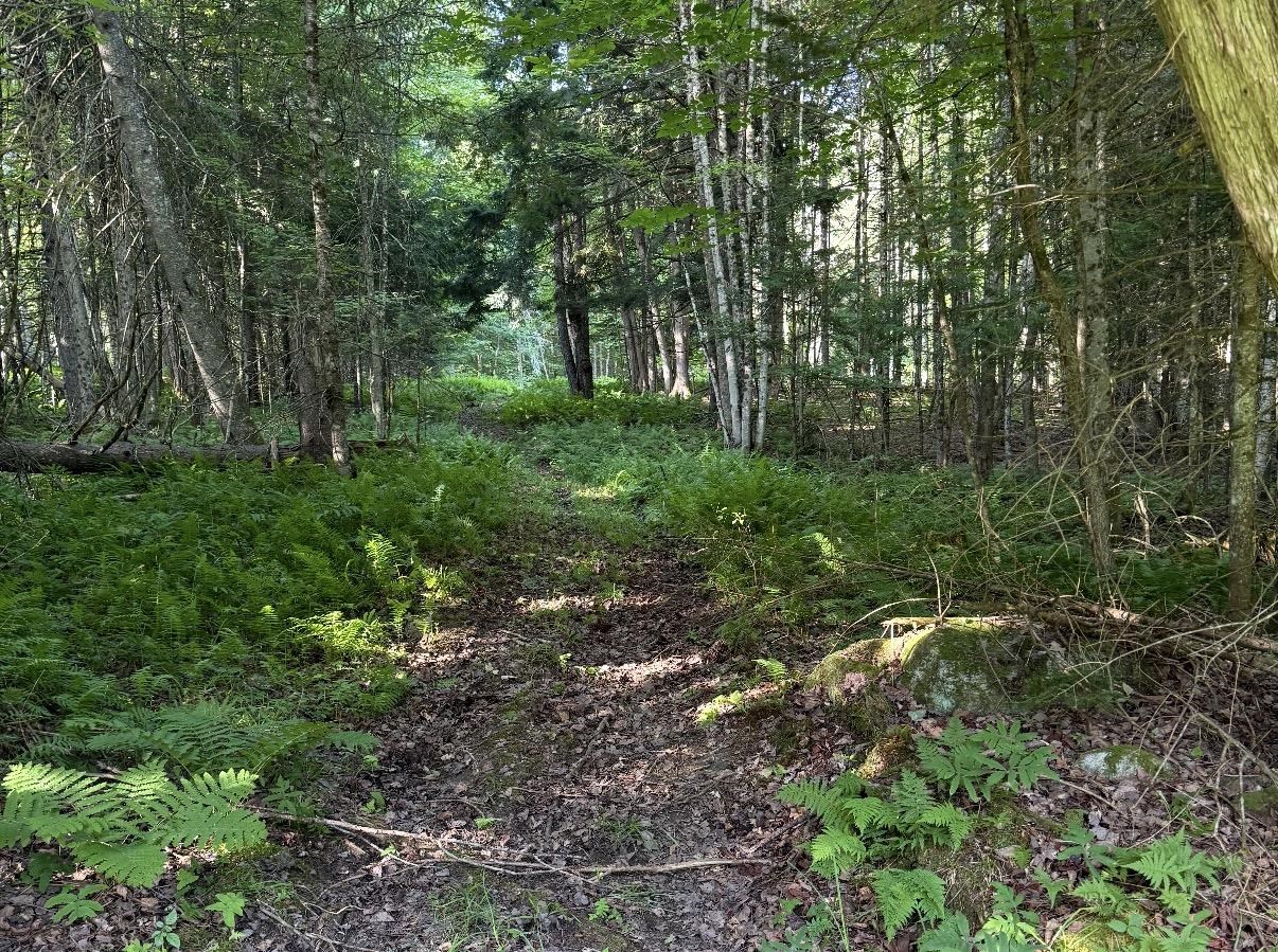 0 Roaring Brook Road Barton, VT 05822 - Photo 8 of 24 Gallery Image 8