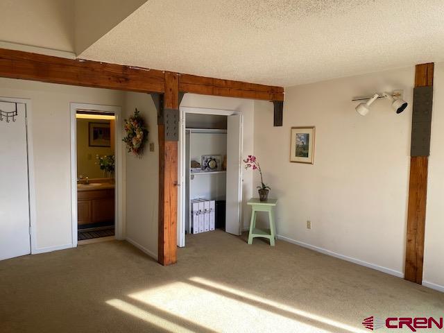 25 Emmons Road, Unit 43 Crested Butte, CO 81225 - Photo 11 of 14 Gallery Image 11