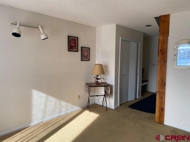 25 Emmons Road, Unit 43 Crested Butte, CO 81225 - Photo 5 of 14 Gallery Image 5