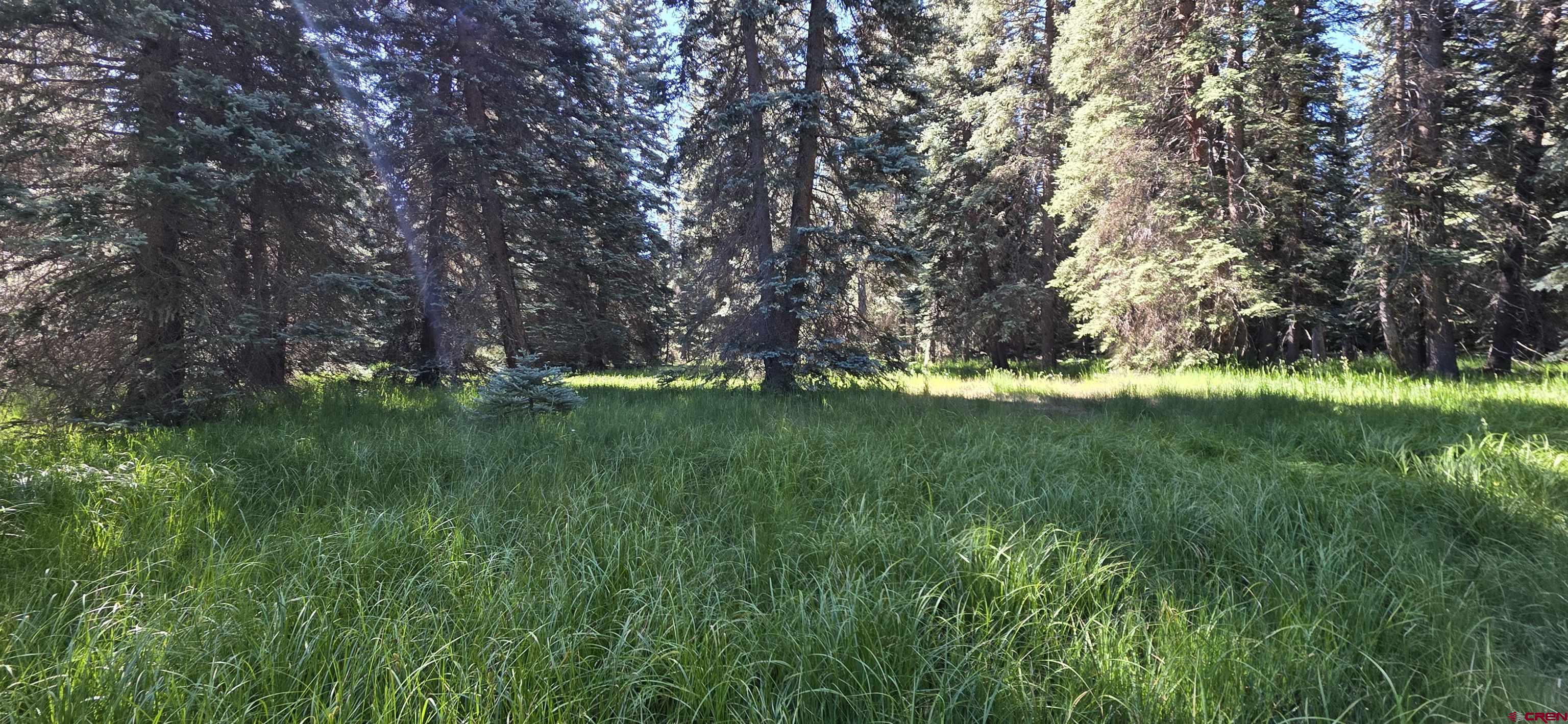 201 Golden Forest Road Bayfield, CO 81122 - Photo 23 of 37