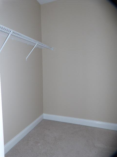 3225 Ridgecane Road Lexington, KY 40513 - Photo 49 of 60 P1070165