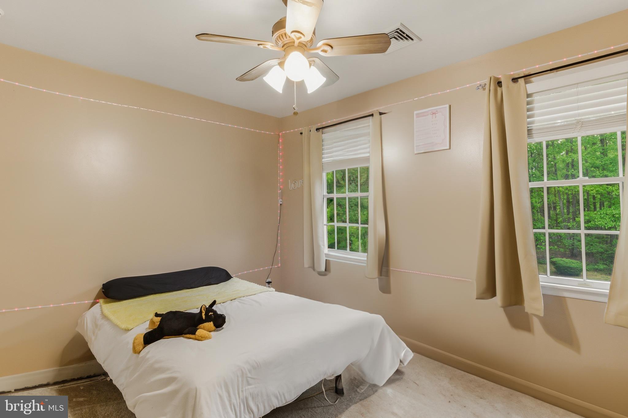 133 Steelton Road Sicklerville, NJ 08081 - Photo 28 of 39