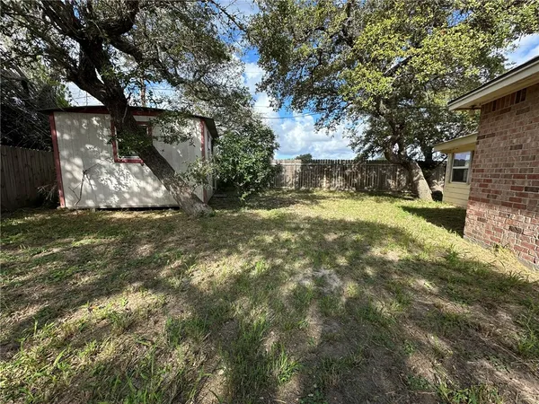 a view of a yard with plants and trees