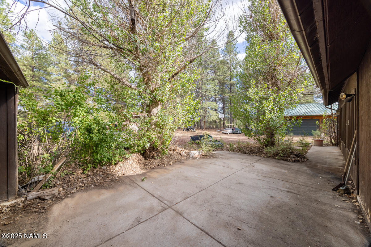 129 North Spitz Spring Road Parks, AZ 86018 - Photo 41 of 59 a view of backyard with large trees and plants