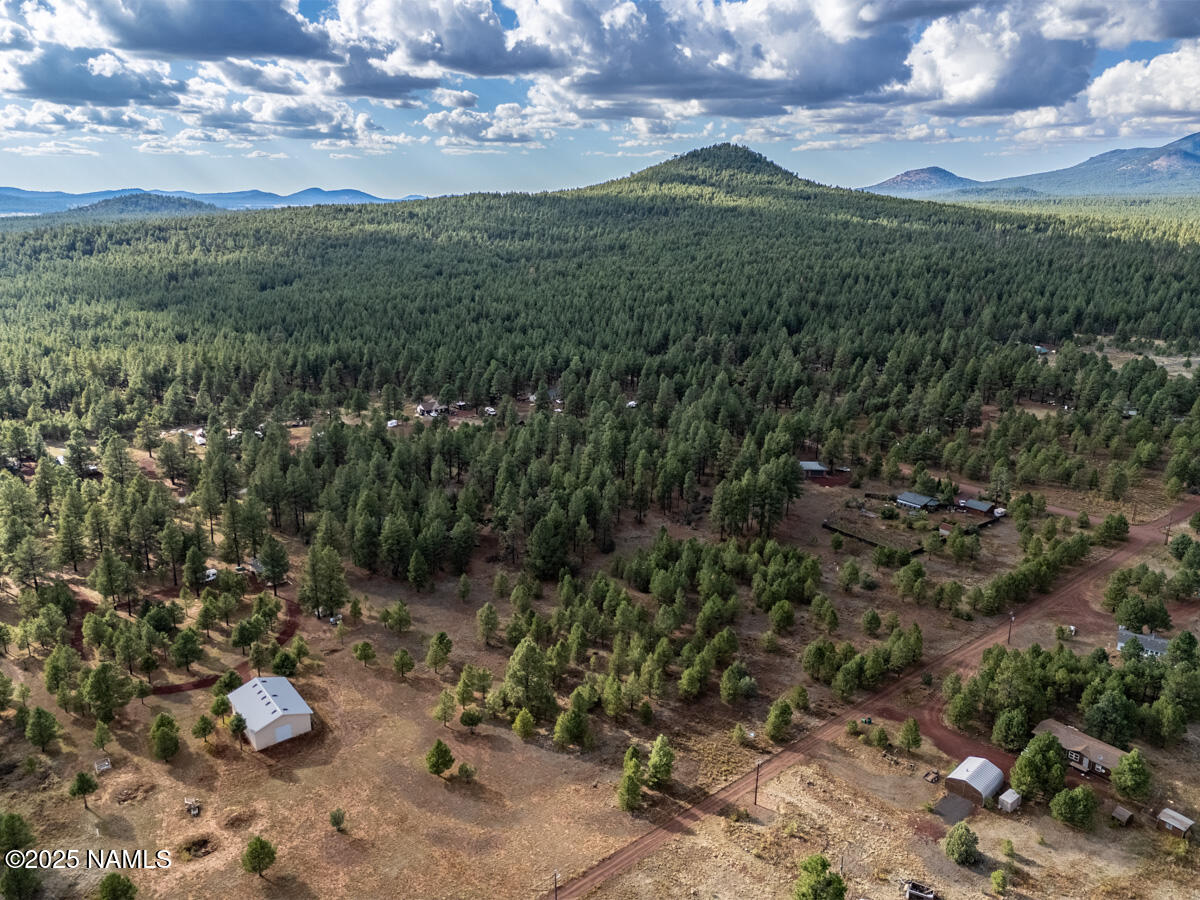 129 North Spitz Spring Road Parks, AZ 86018 - Photo 48 of 59 a view of a backyard with plants and a lake view