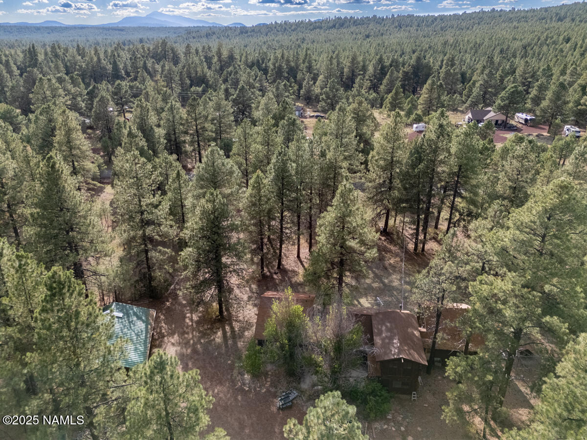 129 North Spitz Spring Road Parks, AZ 86018 - Photo 54 of 59 a view of a forest with a yard and large trees