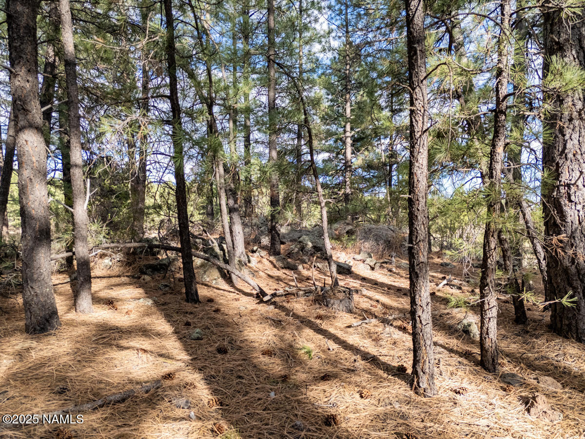 129 North Spitz Spring Road Parks, AZ 86018 - Photo 55 of 59 a view of yard