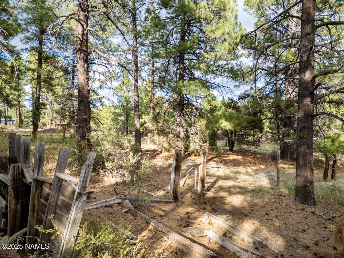 129 North Spitz Spring Road Parks, AZ 86018 - Photo 56 of 59 a view of yard