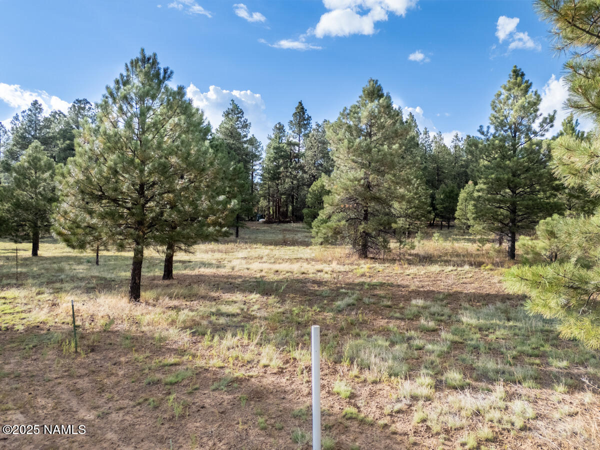 129 North Spitz Spring Road Parks, AZ 86018 - Photo 57 of 59 a view of a yard with trees in the background
