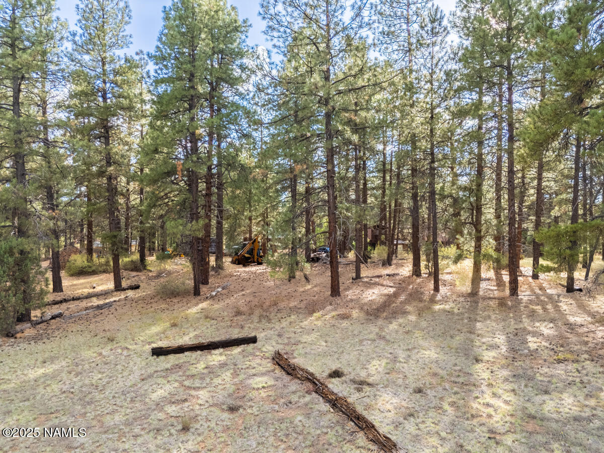129 North Spitz Spring Road Parks, AZ 86018 - Photo 59 of 59 a view of a yard with a tree